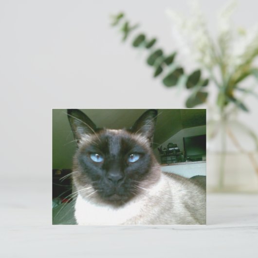 Carte Postale bleu pâle (Debout devant)