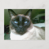 Carte Postale bleu pâle (Devant)