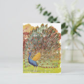 Carte Postale bleu paon (Debout devant)