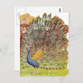 Carte Postale bleu paon (Devant / Derrière)