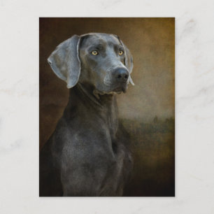 Carte postale bleu Renaissance