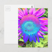 Carte Postale Bleu rose funky rétro tournesol photo (Devant / Derrière)