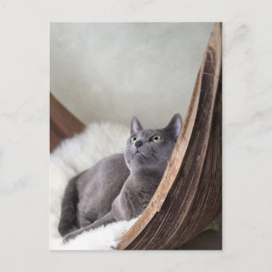 Carte Postale Bleu russe
