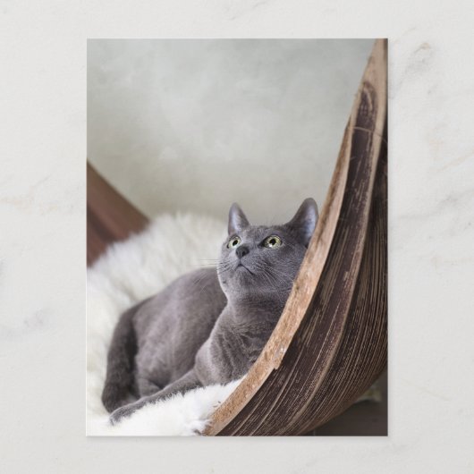 Carte Postale Bleu russe (Devant)