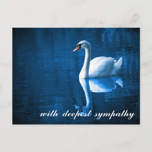 Carte Postale Bleu sentimental Eaux calmes Cygne Sympathie (Devant)