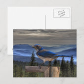 CARTE POSTALE BLEU SUR BLEU (Devant / Derrière)