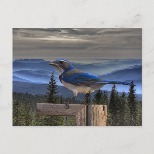 CARTE POSTALE BLEU SUR BLEU (Devant)