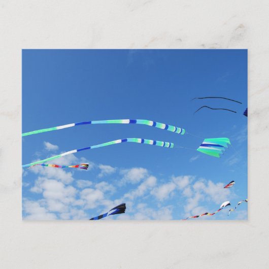 Carte Postale Bleu Vert Long Queue Kite (Devant)