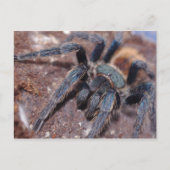 Carte postale bleue à bouteille verte (Devant)