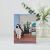 Carte postale bleue de chat Tuxedo mignon avec de (Debout devant)