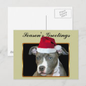 Carte postale bleue de chiot de pitbull de Bonnes (Devant / Derrière)