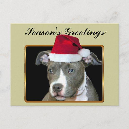 Carte postale bleue de chiot de pitbull de Bonnes (Devant)