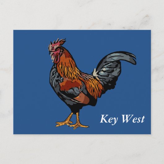 Carte postale bleue de Key West de coq (Devant)