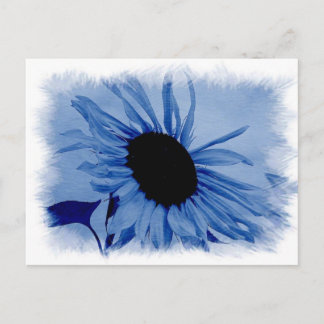Carte postale bleue de tournesol