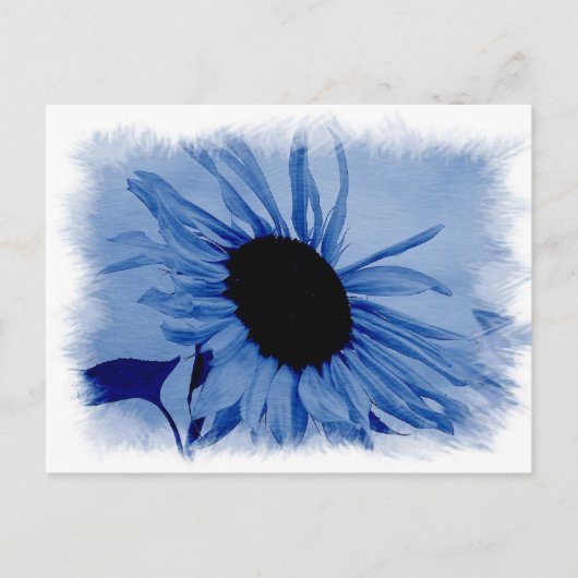 Carte postale bleue de tournesol (Devant)