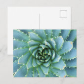 Carte postale bleue en losange (Devant / Derrière)