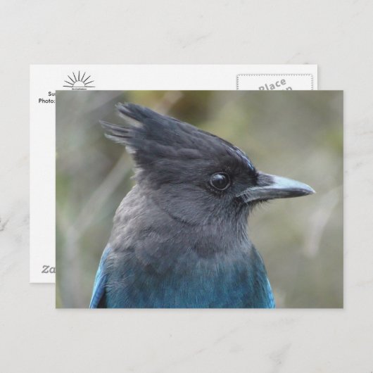 Carte postale bleue Mama (Devant / Derrière)