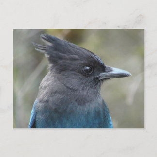 Carte postale bleue Mama