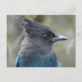 Carte postale bleue Mama (Devant)