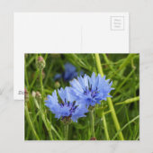 Carte Postale bleuet (Devant / Derrière)