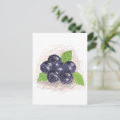 Carte Postale bleuet (Debout devant)