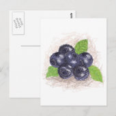 Carte Postale bleuet (Devant / Derrière)