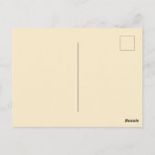 Carte Postale Bleuet de l'Est à fleurs d'orange (Dos)