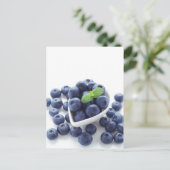 Carte Postale Bleuet isolé sur blanc (Debout devant)