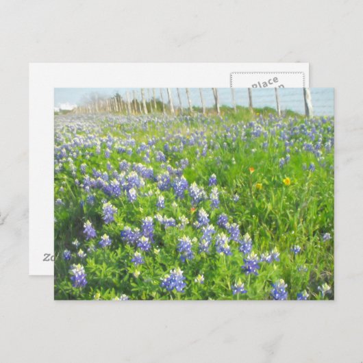 Carte postale Bleus Côté Route (Devant / Derrière)