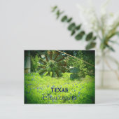 Carte Postale Bleus du Texas (Debout devant)
