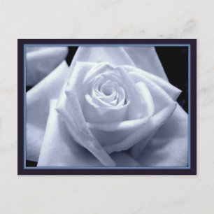 Carte Postale Bleus subtil