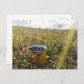 Carte Postale Bleus sur la toundra de l'Alaska (Devant / Derrière)