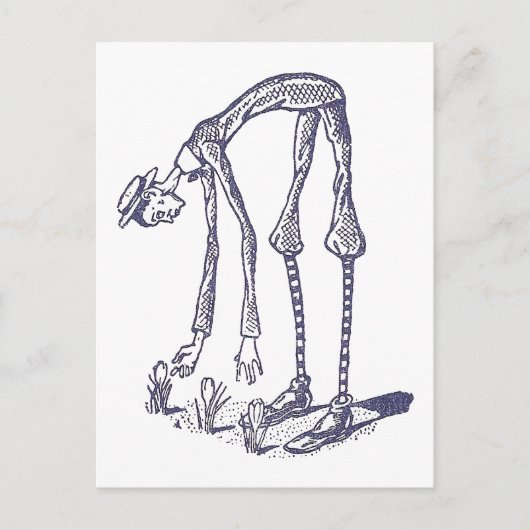 Carte Postale Blib Picks Fleurs (Devant)