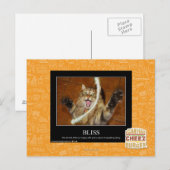 Carte Postale Bliss (Devant / Derrière)