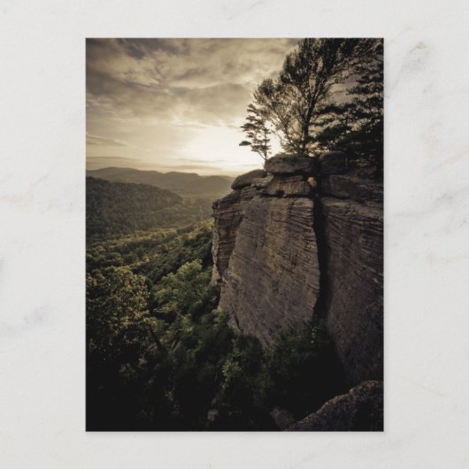 Carte Postale Bliss et ReUnion (Devant)