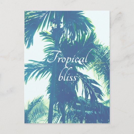 Carte Postale Bliss tropicaux (Devant)