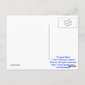 Carte Postale Bliss tropicaux (Dos)