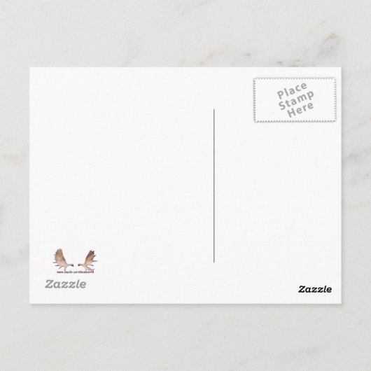 Carte Postale Blizzard (Dos)