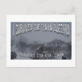 Carte Postale Blizzard 2010 (Devant)