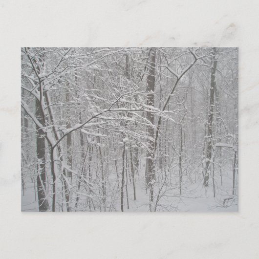 Carte Postale Blizzard en février 2010 (Devant)