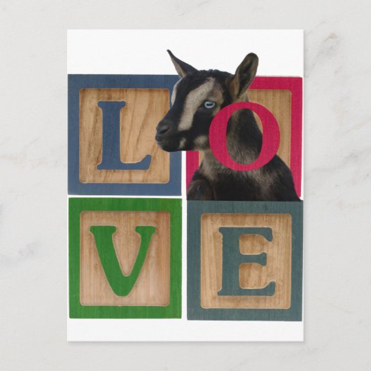 CARTE POSTALE BLOCS CHÈVRE D'AMOUR (Devant)