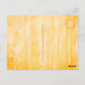 Carte Postale Blocs de Couleurs d'Automne (Dos)