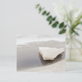 Carte Postale Blocs de glace (Debout devant)