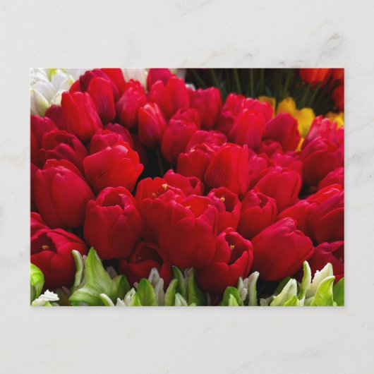 Carte Postale Bloemenmarkt Fleurs (Devant)