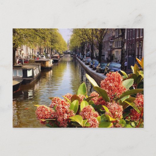 Carte Postale Bloemgracht Amsterdam Summer (Devant)