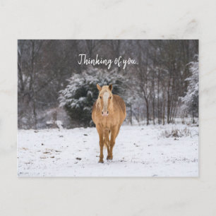 Carte Postale Blonde Horse Marcher Dans La Neige Penser De Vous