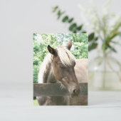 Carte Postale Blondie (Debout devant)