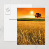 Carte Postale Blood-Red Sunset (Devant / Derrière)