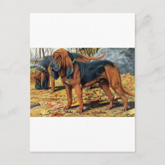 Carte Postale Bloodhound