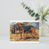 Carte Postale Bloodhound (Debout devant)